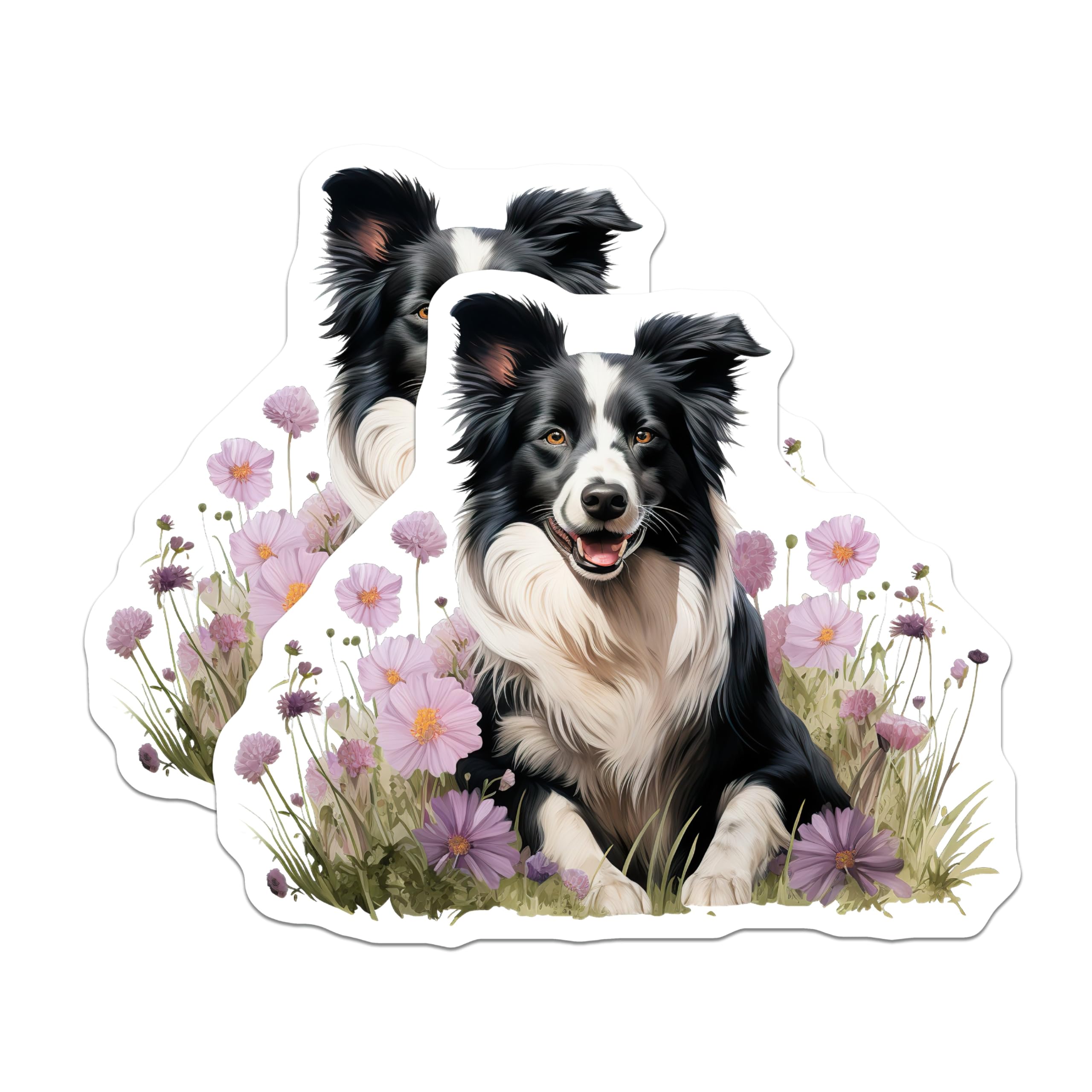 (2 Pack) Border Collie Magnets - Dog Lover Fridge Decor - Pet Parent Kitchen Art - Floral Animal Magnets - 5 Inches On Longest Side - Thick Durable Magnet - Made in USA - MAG26259