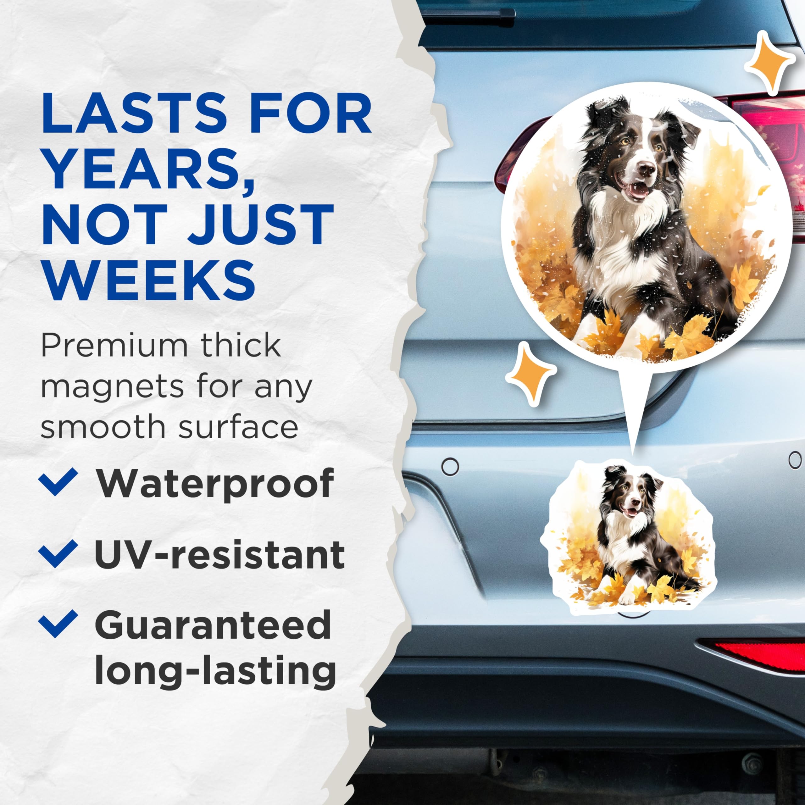 (2 Pack) Border Collie Dog Magnets - Autumn Leaves Decor - Pet Lover Refrigerator Art - 5 Inches On Longest Side - Thick Durable Magnet - Made in USA - MAG27613