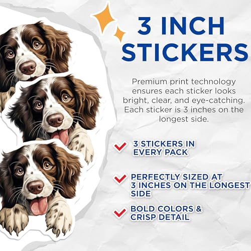 (3 Pack) Springer Spaniel Decals - Brown White Dog Breed - Laptop Car Decals - 3 Inches On Longest Side - Easy Peel & Apply - Made in USA - 3MCS8740