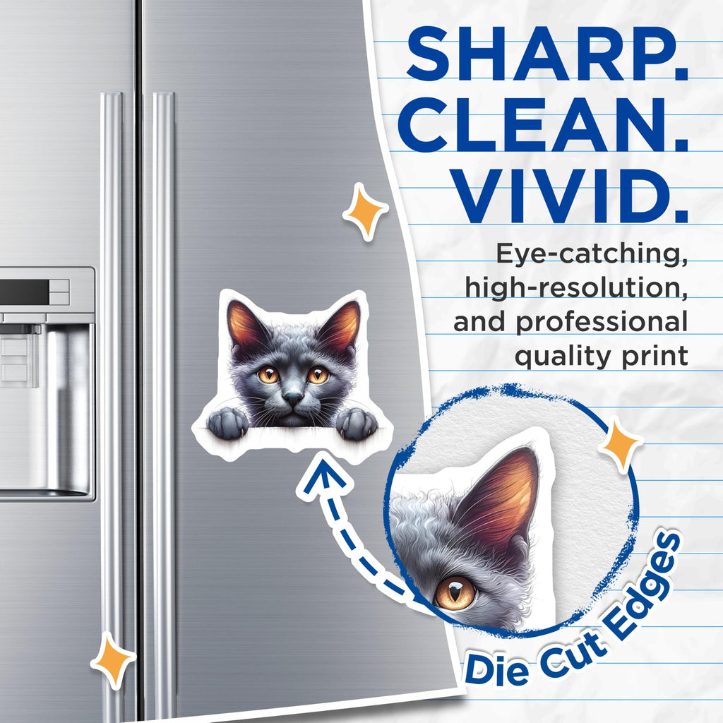 (2 Pack) Grey Cat Magnets - Cute Kitten Refrigerator Magnet - Animal Lover Decor - 5" On Longest Side - Premium Magnet - for Cars, Refrigerators, Toolboxes, Lockers - Made in USA - MAG14302