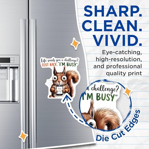 (2 Pack) Funny Squirrel Magnets Magnets - I'm Busy Quote - Humorous Animal Magnet - 5" On Longest Side - Made in USA - Sticks to Refrigerators & Metal Surfaces - MAG8754