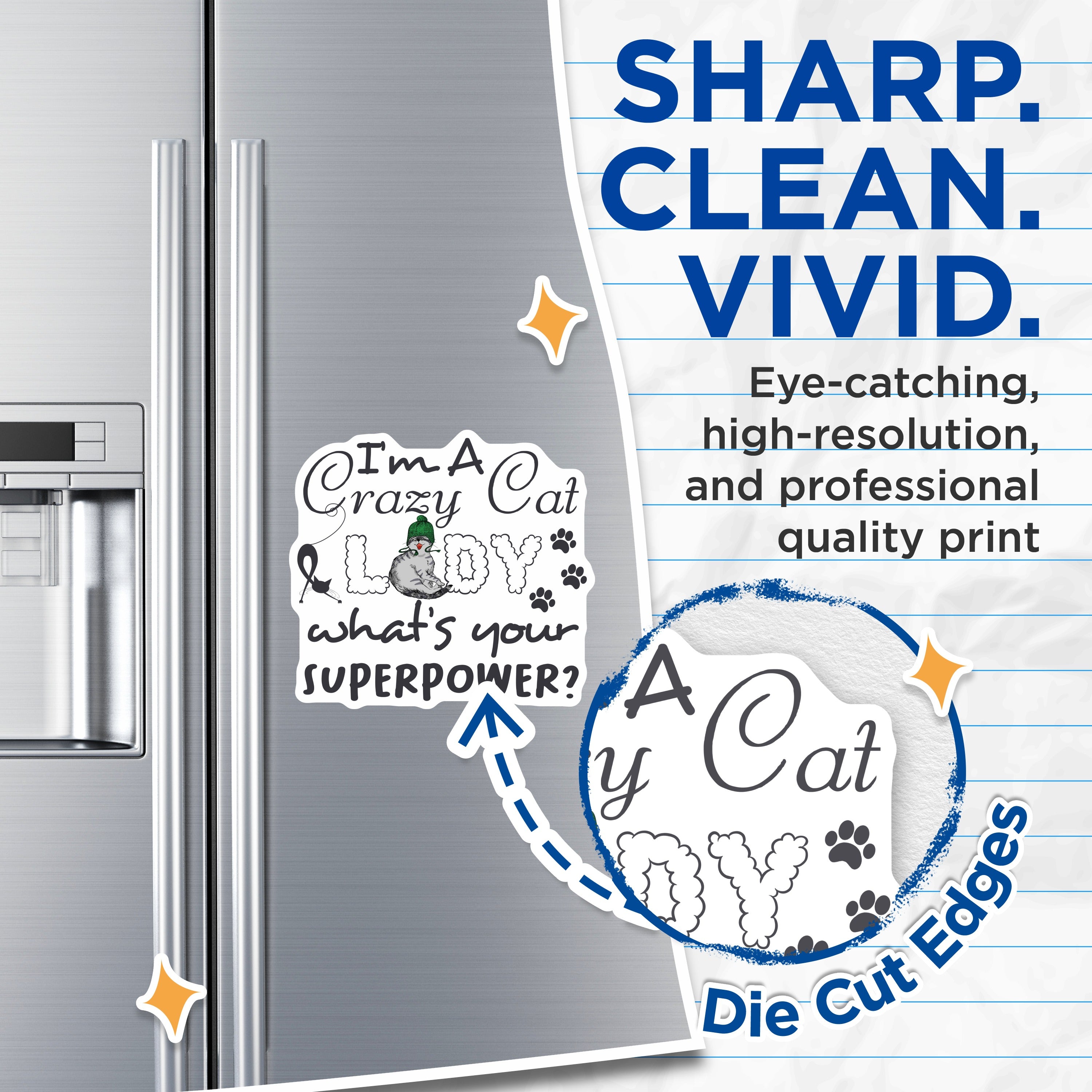 (2 Pack) Crazy Cat Lady Magnets - Funny Cat Lover Fridge Magnet - Pet Mom Superpower Saying - Quirky Kitchen Decor - 5 Inches On Longest Side - Thick Durable Magnet - Made in USA - MAG38863
