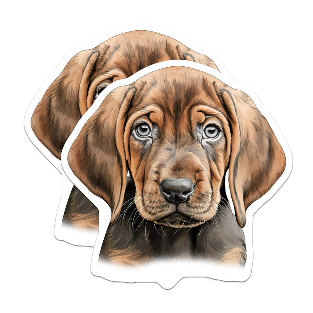 (2 Pack) Soulful Puppy Dog Magnets - Cute Hound Puppy Decor - Pet Lover Refrigerator Accessory - 5 Inches On Longest Side - Thick Durable Magnet - Made in USA - MAG26254