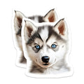 (2 Pack) Husky Puppy Magnets - Siberian Husky Decor - Blue Eyed Dog Art for Fridge - 5 Inches On Longest Side - Thick Durable Magnet - Made in USA - MAG27694