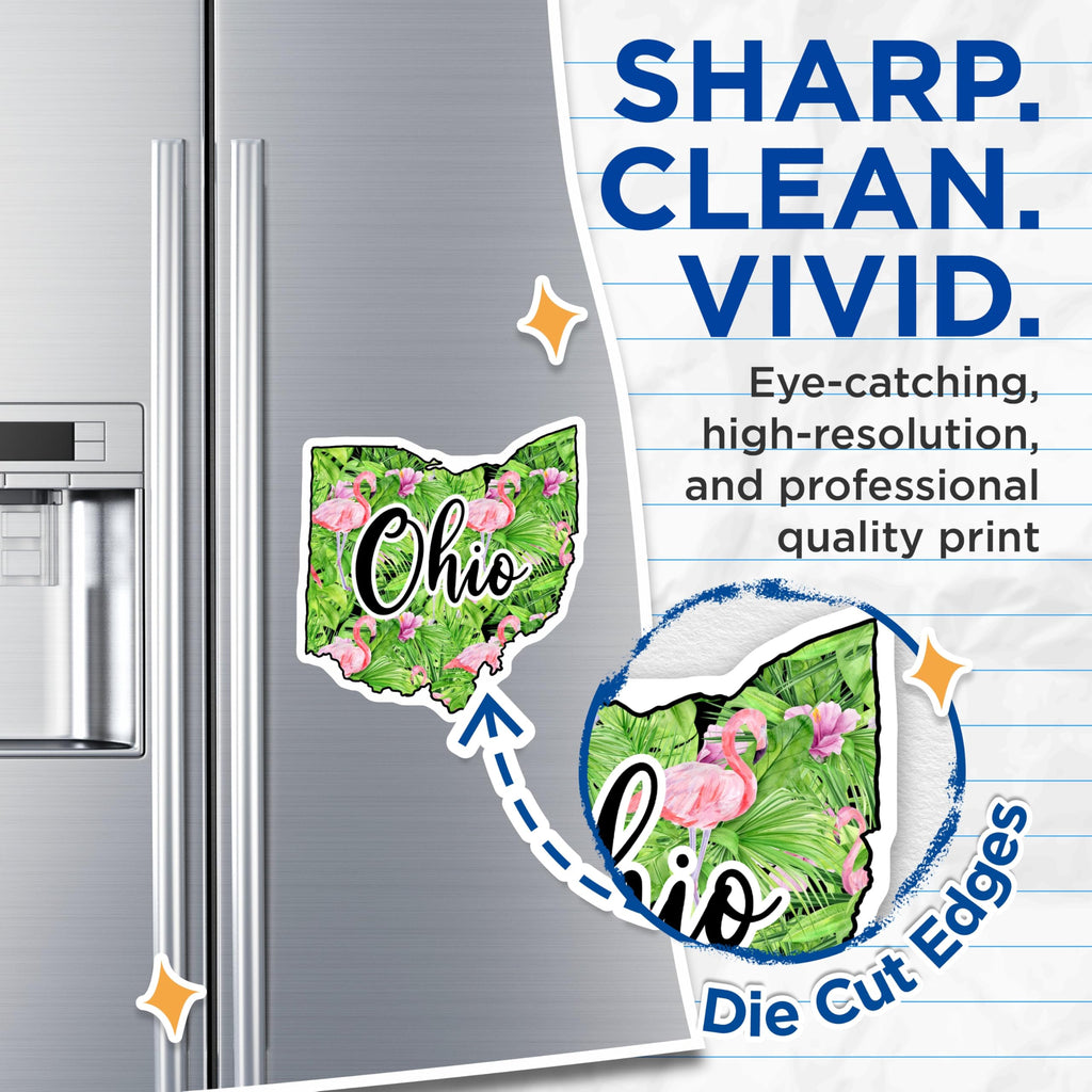 (2 Pack) Ohio Flamingo Magnets - State Pride - Tropical Decor Souvenir - 5" On Longest Side - Premium Magnet - for Cars, Refrigerators, Toolboxes, Lockers - Made in USA - MAG17696