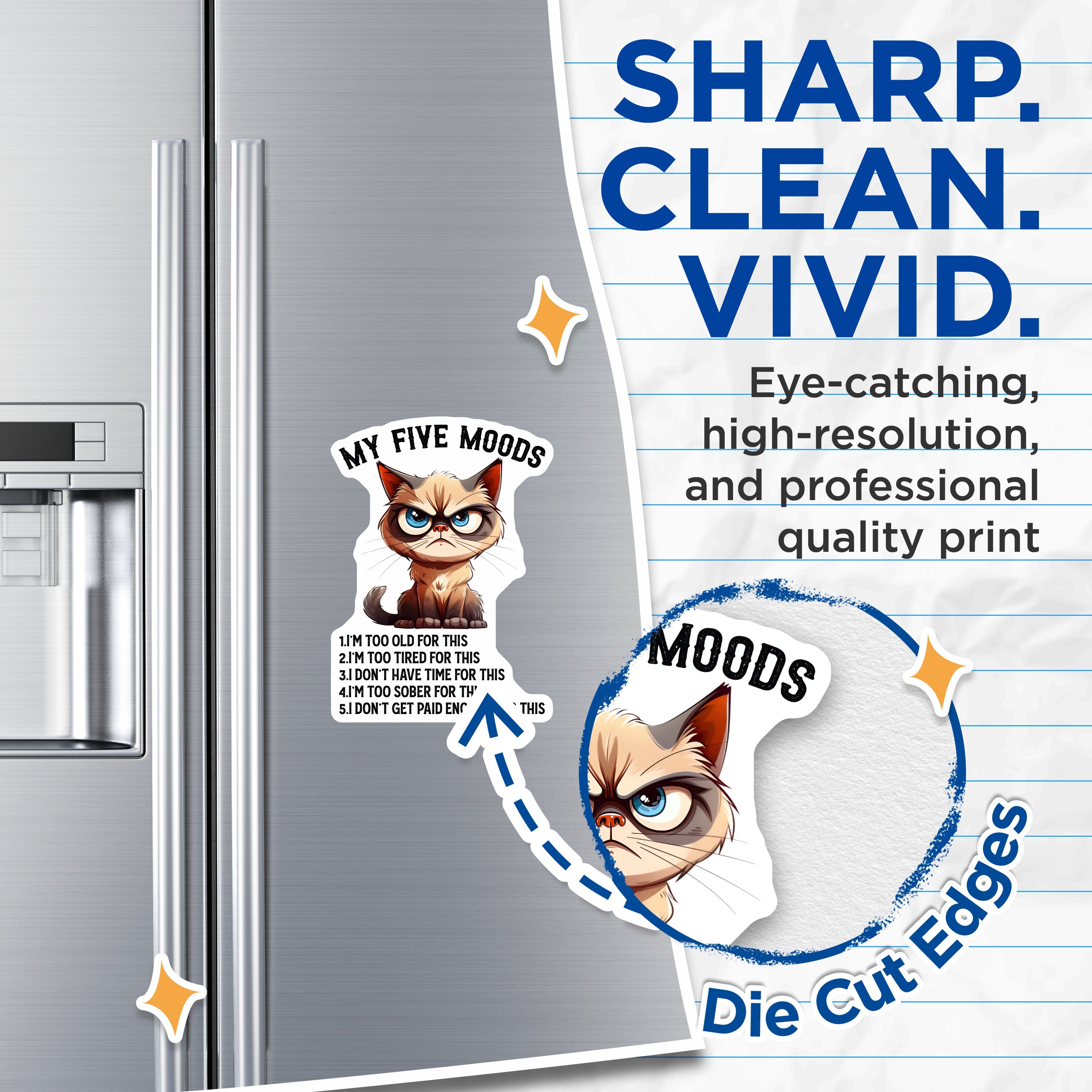 (2 Pack) Grumpy Cat Five Moods Magnets - Sarcastic Humor Decor - Relatable Work Quote Fridge Accessory - 5 Inches On Longest Side - Thick Durable Magnet - Made in USA - MAG38037