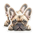 (2 Pack) French Bulldog Magnets - Adorable Dog Art - Home Decor Accent - 5" On Longest Side - Premium Magnet - for Cars, Refrigerators, Toolboxes, Lockers - Made in USA - MAG15451