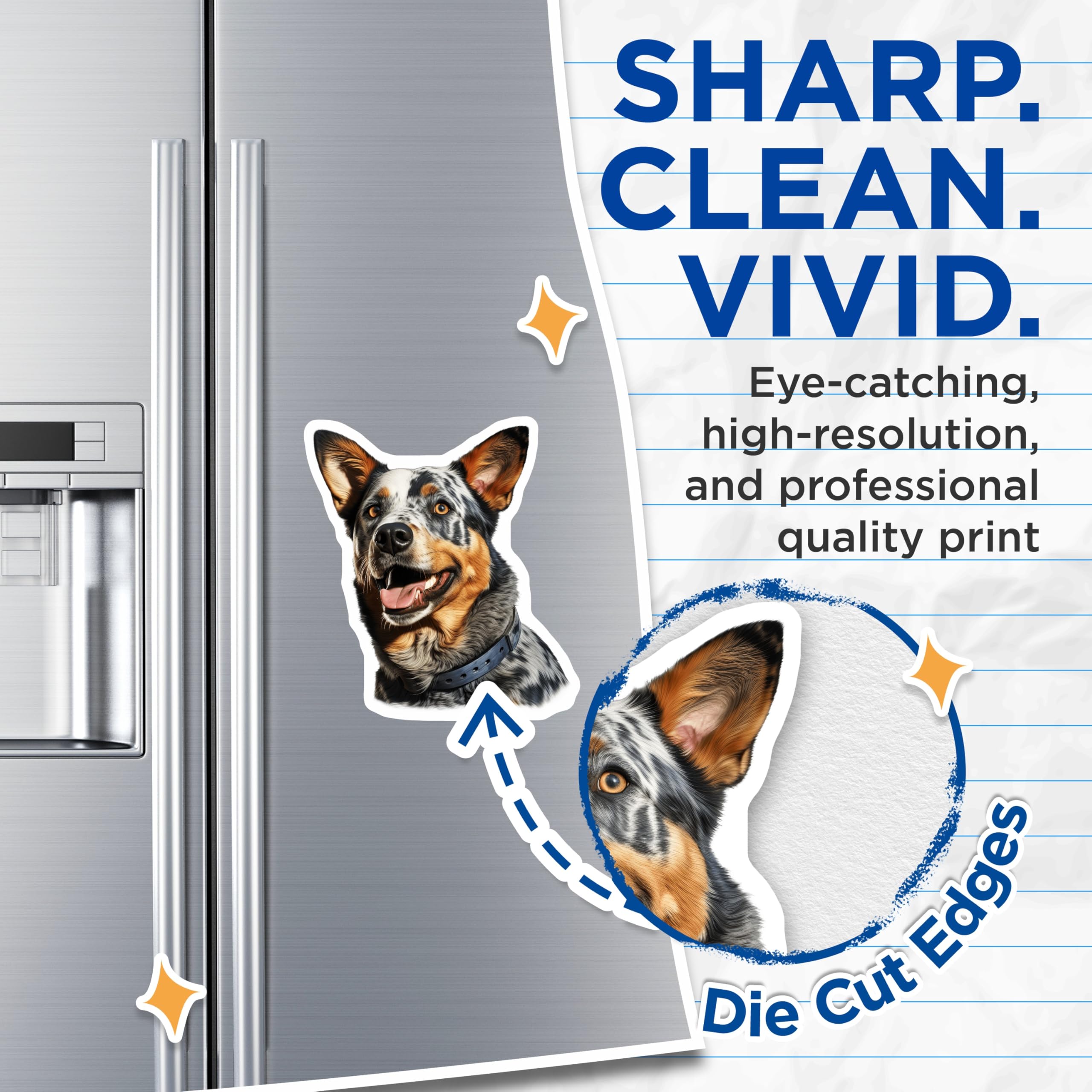 (2 Pack) Blue Heeler Dog Magnets - Australian Cattle Dog Art - Pet Lover Fridge Decor - Farm Ranch Gift - 5 Inches On Longest Side - Thick Durable Magnet - Made in USA - MAG30664