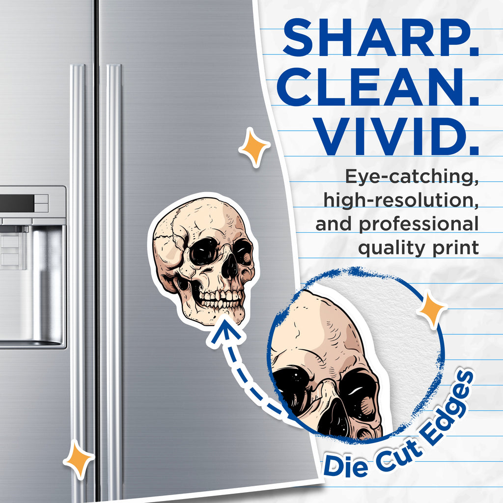 (2 Pack) Gothic Skull Magnets - Dark Academia Decor - Macabre Art Aesthetic Refrigerator Display - 5 Inches On Longest Side - Thick Durable Magnet - Made in USA - MAG37052