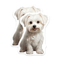 (2 Pack) Maltese Dog Magnets - Cute Puppy Fridge Decor - Dog Mom Pet Accessory - 5 Inches On Longest Side - Thick Durable Magnet - Made in USA - MAG27785