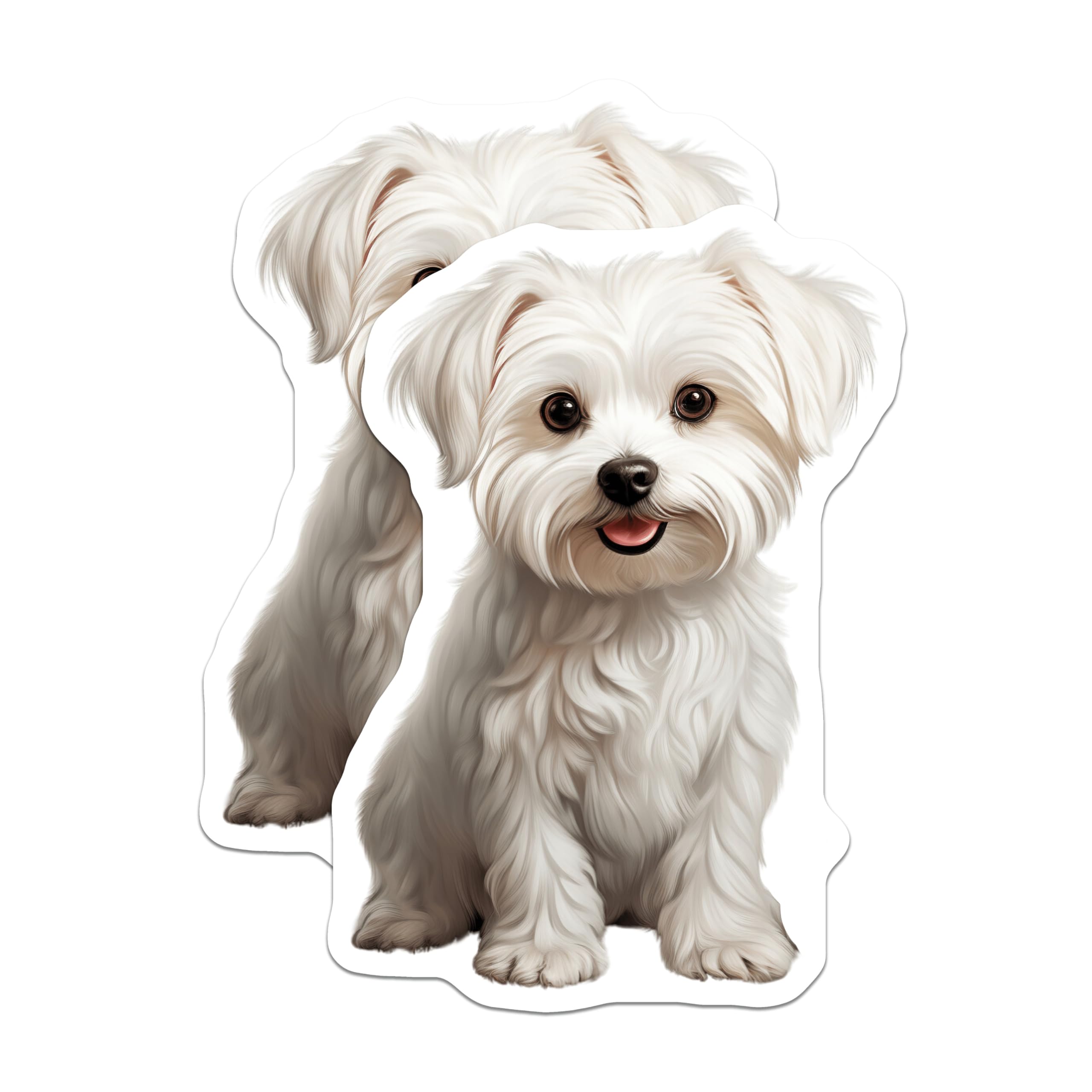 (2 Pack) Maltese Dog Magnets - Cute Puppy Fridge Decor - Dog Mom Pet Accessory - 5 Inches On Longest Side - Thick Durable Magnet - Made in USA - MAG27785