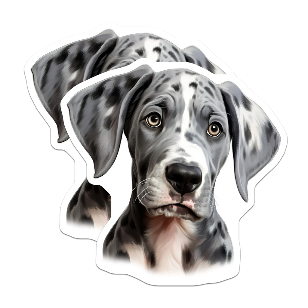(2 Pack) Great Dane Puppy Magnets - Harlequin Dog Lover Decor - Gentle Giant Pet Owner - 5 Inches On Longest Side - Thick Durable Magnet - Made in USA - MAG30479