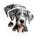 (2 Pack) Great Dane Puppy Magnets - Harlequin Dog Lover Decor - Gentle Giant Pet Owner - 5 Inches On Longest Side - Thick Durable Magnet - Made in USA - MAG30479