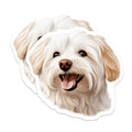 (2 Pack) Happy White Dog Magnets - Cute Pet Art Decor - Animal Lover Accessory - 5 Inches On Longest Side - Thick Durable Magnet - Made in USA - MAG29119