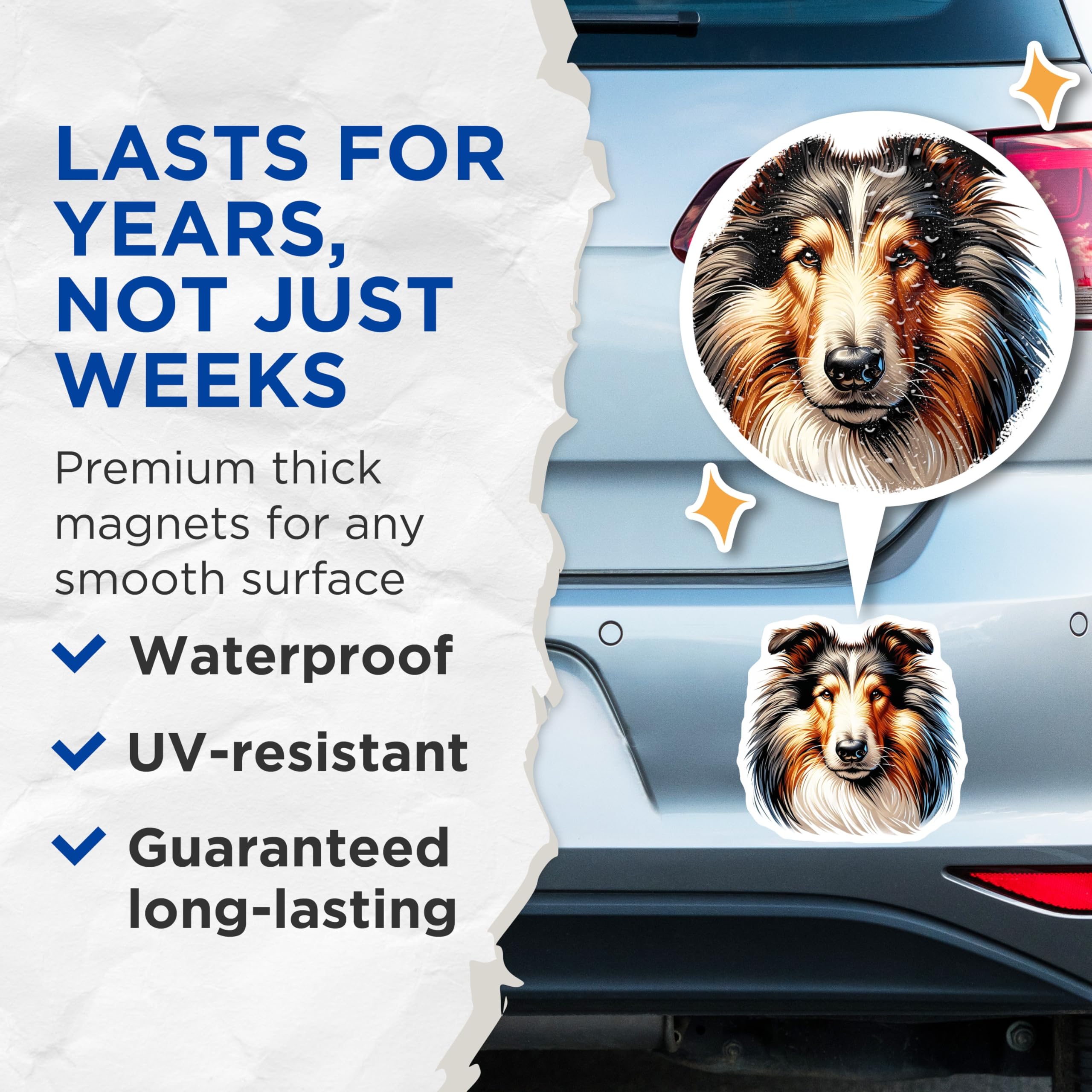 (2 Pack) Collie Dog Magnets - Rough Collie Art - Refrigerator Magnets - 5" On Longest Side - Premium Magnet - for Cars, Refrigerators, Toolboxes, Lockers - Made in USA - MAG15748