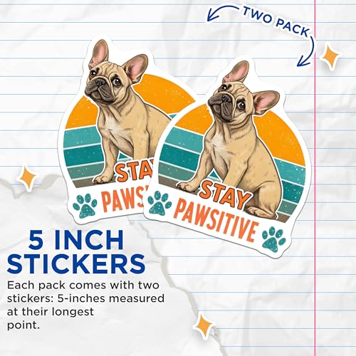 (2 Pack) Stay Pawsitive Stickers - Cute Dog Stickers - Motivational Stickers for Animal Lovers - 5" On Longest Side - Sticks to Smooth Flat Surfaces - Made in USA - BMCS4661