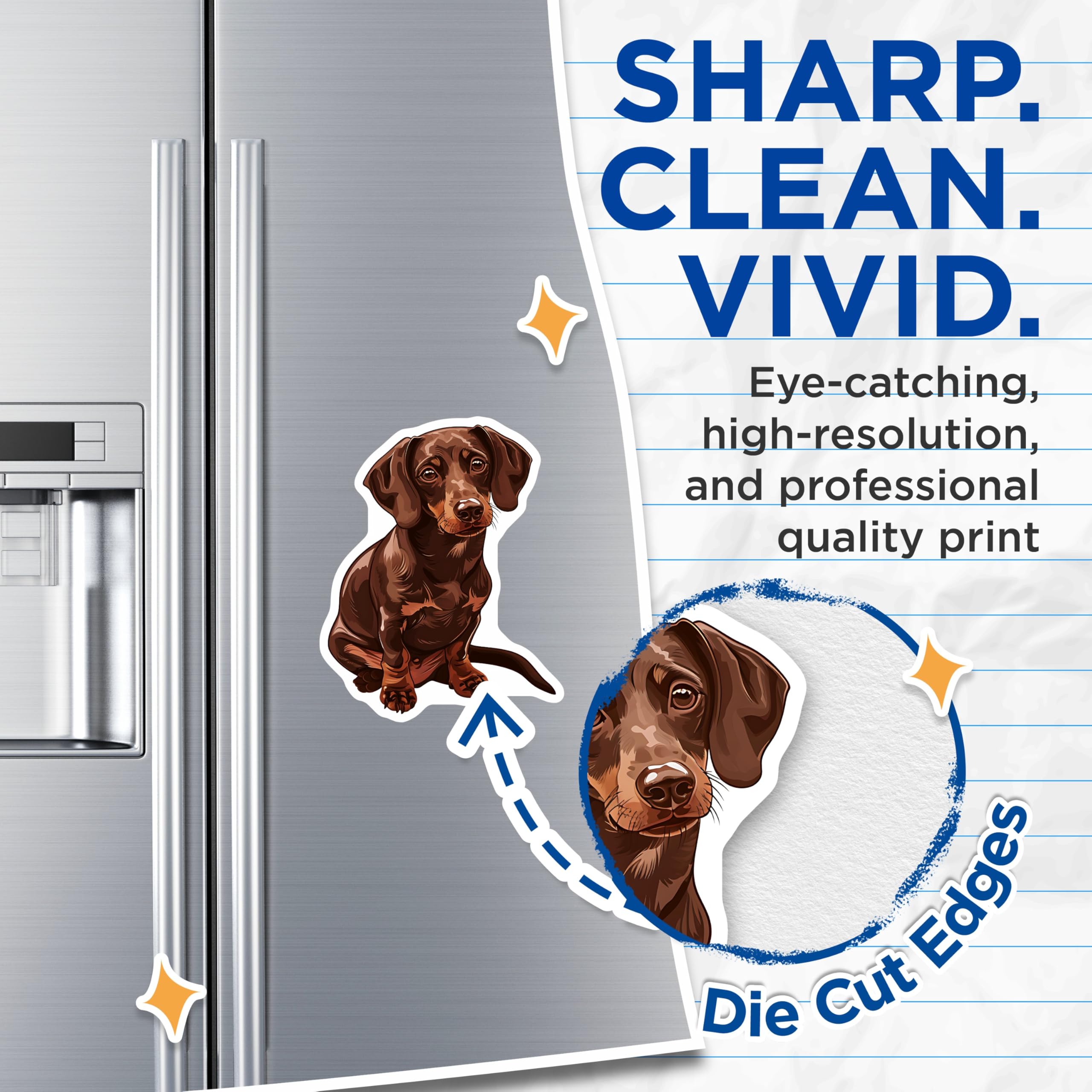 (2 Pack) Dachshund Magnets - Weenie Dog Decor - Brown Dog Refrigerator Magnets - 5" On Longest Side - Premium Magnet - for Cars, Refrigerators, Toolboxes, Lockers - Made in USA - MAG16474