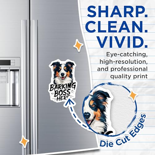 (2 Pack) Barking Boss Here Magnets - Funny Dog Lover - Pet Owner Humor - Dog Breed Magnet - 5" On Longest Side - for Cars, Fridges, Toolboxes - Made in USA - MAG3925
