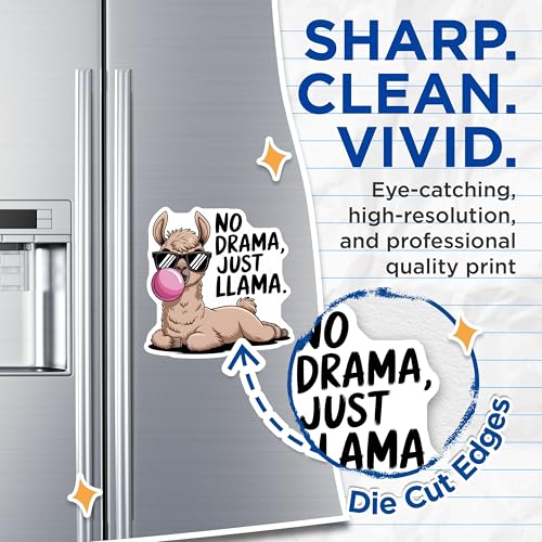 (2 Pack) Funny Llama Quote Magnet - Animal Lovers - Cute Llama Decor - 5" On Longest Side - Sticks to Smooth Flat Surfaces - Made in USA - MAG10170