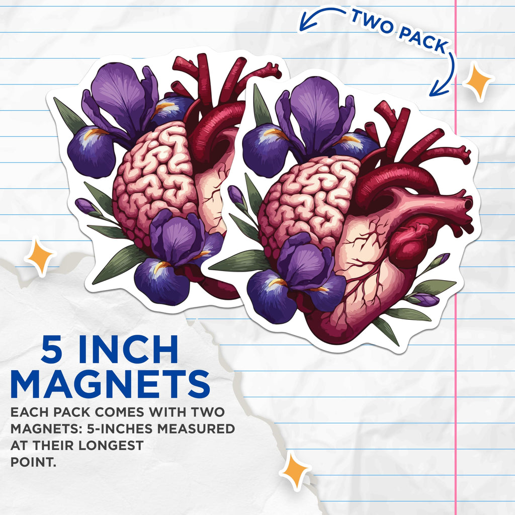 (2 Pack) Anatomical Heart Brain Art Magnets - Purple Iris Floral Decor - Science Nature Symbiosis Collectibles - 5 Inches On Longest Side - Thick Durable Magnet - Made in USA - MAG19610