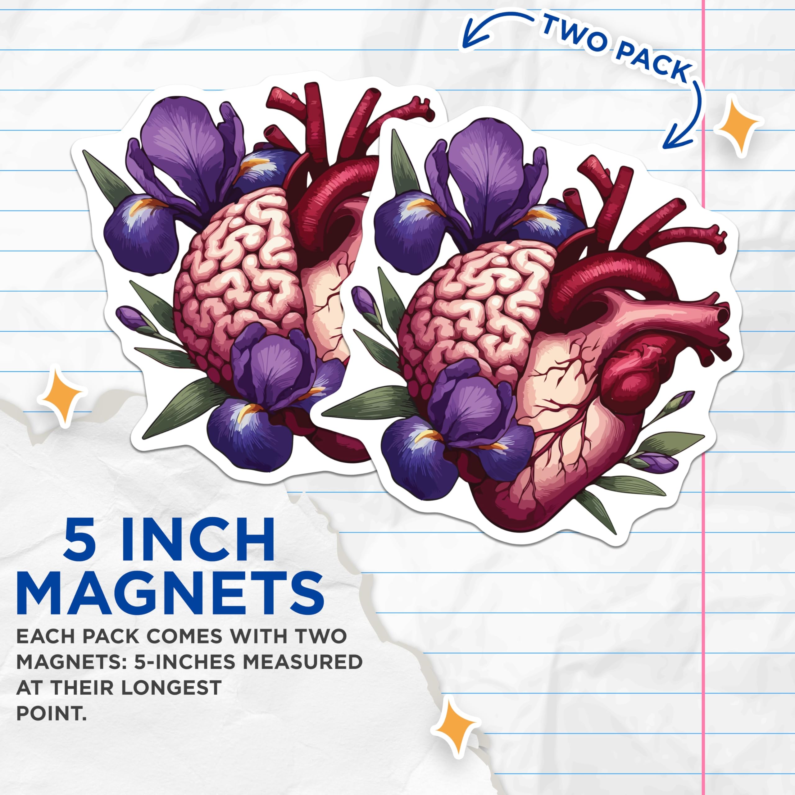(2 Pack) Anatomical Heart Brain Art Magnets - Purple Iris Floral Decor - Science Nature Symbiosis Collectibles - 5 Inches On Longest Side - Thick Durable Magnet - Made in USA - MAG19610