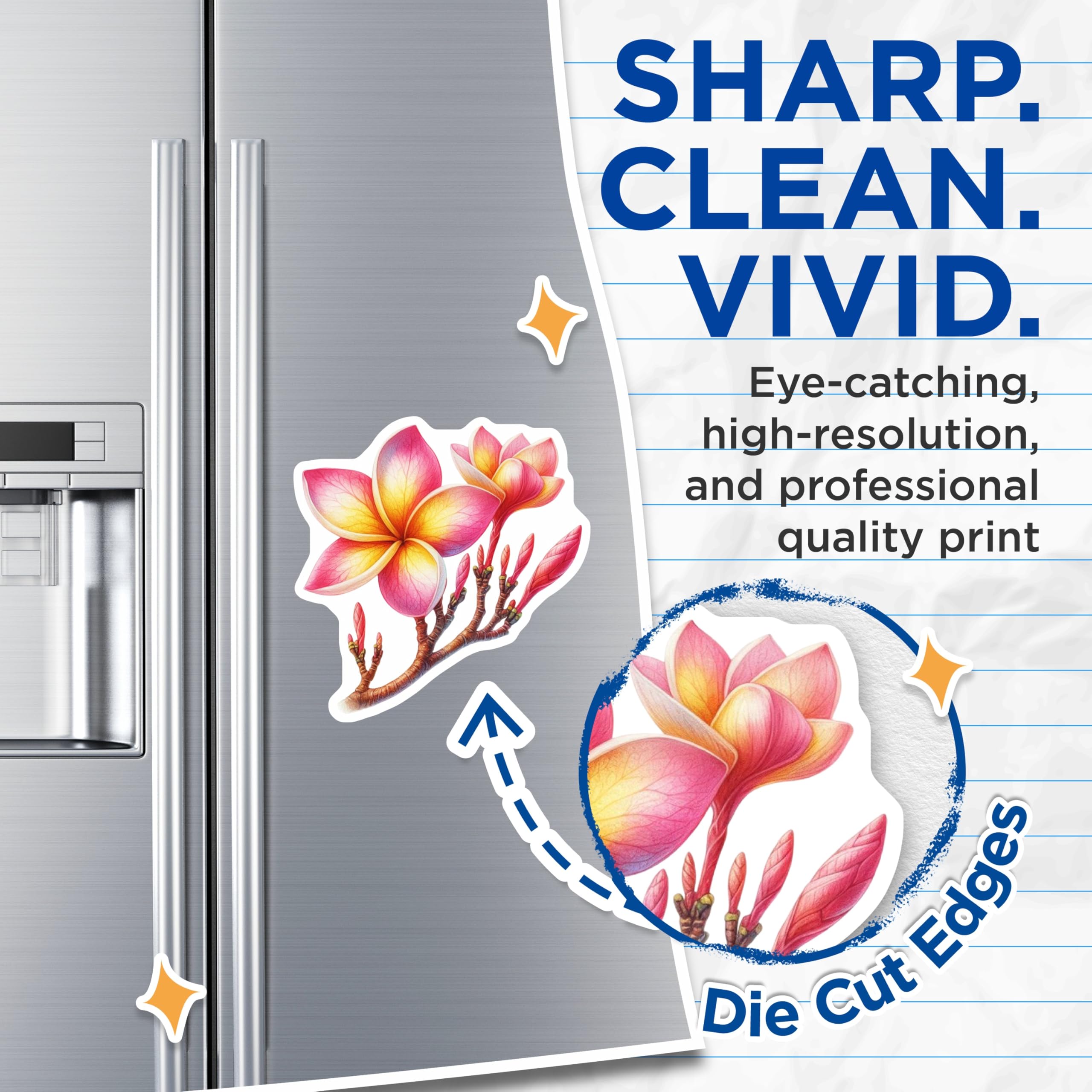 (2 Pack) Plumeria Flowers Magnets - Pink Yellow Tropical Bloom Art - Aesthetic Hawaiian Fridge Magnets - Aloha Flower Decor - 5 Inches On Longest Side - Thick Durable Magnet - Made in USA - MAG22893