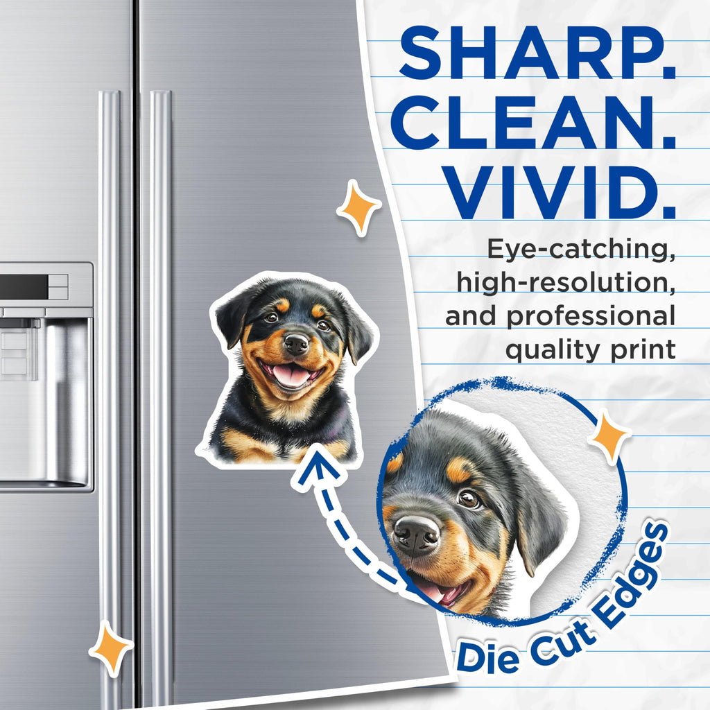 (2 Pack) Rottweiler Puppy Magnets - Smiling Dog Face - Fridge Decor Magnets - 5" On Longest Side - Premium Magnet - for Cars, Refrigerators, Toolboxes, Lockers - Made in USA - MAG14523