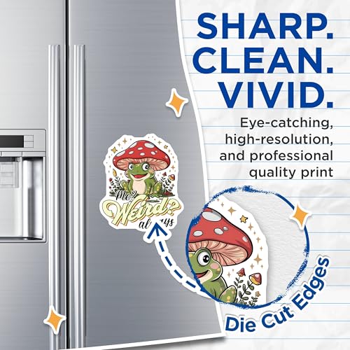(2 Pack) Frog Mushroom Magnets - Funny Frog Art - Quirky Animal - Unique Refrigerator Magnets - 5" On Longest Side - for Cars, Fridges, Toolboxes - Made in USA - MAG3766