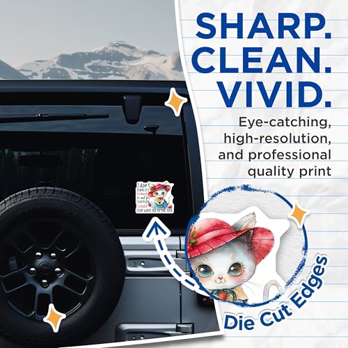 (2 Pack) Cute Cat Stickers - Funny Cat Saying Stickers - Motivational Quote Cat Stickers - 5" On Longest Side - Sticks to Smooth Flat Surfaces - Made in USA - BMCS4351