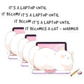 (3 Pack) Cat Laptop Decals - Funny Kitten Decal - Animal Decals - 3 Inches On Longest Side - Easy Peel & Apply - Made in USA - 3MCS6588