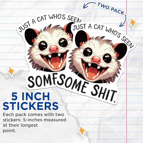 (2 Pack) Just a Cat Who's Seen Some Stuff Stickers - Funny Animal Stickers - Cute Possum Sticker - 5" On Longest Side - Sticks to Smooth Flat Surfaces - Made in USA - BMCS6082