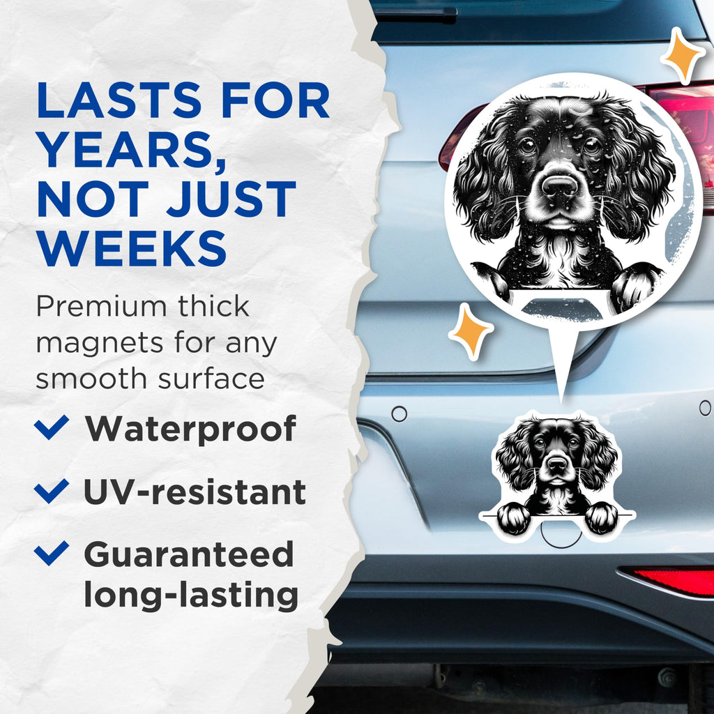 (2 Pack) Cocker Spaniel Magnets - Dog Breed Art - Cute Pet Decor - 5" On Longest Side - Premium Magnet - for Cars, Refrigerators, Toolboxes, Lockers - Made in USA - MAG15192
