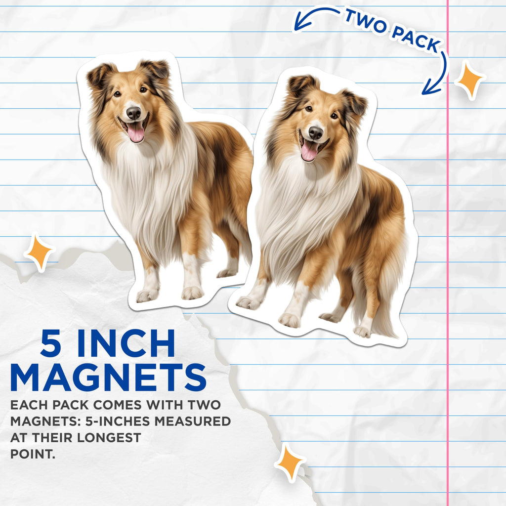 (2 Pack) Rough Collie Magnets - Happy Dog Decor - Collie Owner Accessory - 5 Inches On Longest Side - Thick Durable Magnet - Made in USA - MAG28944
