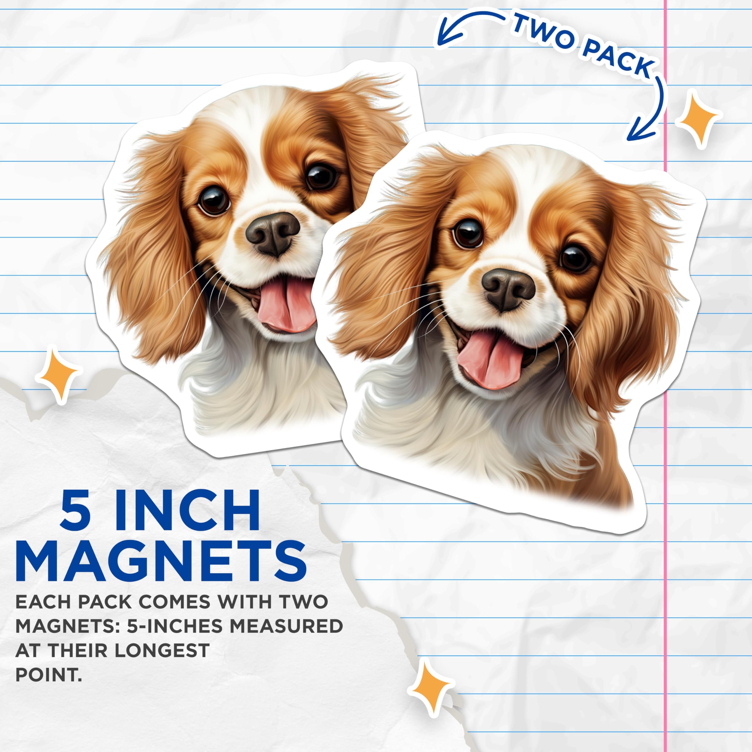 (2 Pack) Cavalier King Charles Spaniel Magnets - Cute Puppy Dog - Dog Lover Decor Pet Owner - 5 Inches On Longest Side - Thick Durable Magnet - Made in USA - MAG29949