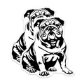 (2 Pack) English Bulldog Magnets - Dog Lover Refrigerator Decor - Pet Parent Kennel Club Style - Animal Breed Collectible - 5 Inches On Longest Side - Thick Durable Magnet - Made in USA - MAG37962