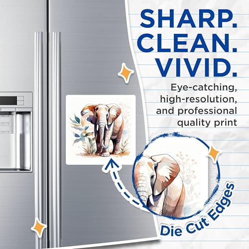 (2 Pack) Elephant Art Magnets Magnets - Watercolor Elephant - Animal Fridge Magnet - 5" On Longest Side - Made in USA - Sticks to Refrigerators & Metal Surfaces - MAG8683