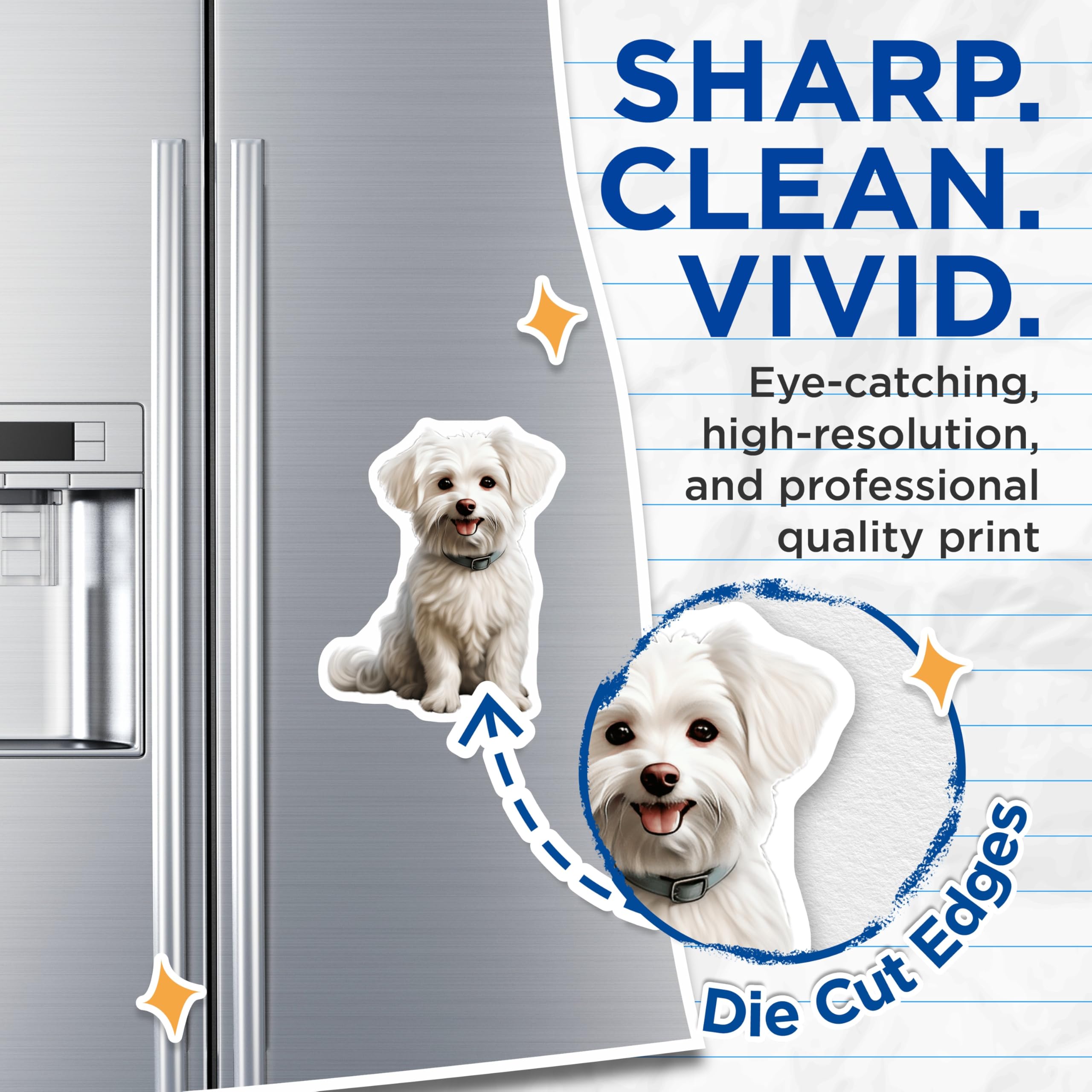 (2 Pack) Maltese Dog Magnets - Cute Fluffy Puppy Refrigerator Decor - Adorable White Canine Pet Lover Home Decor - 5 Inches On Longest Side - Thick Durable Magnet - Made in USA - MAG24240