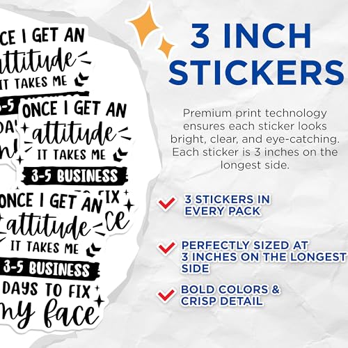 (3 Pack) Attitude Decals - Funny Quote - Sarcastic Laptop Decal - 3 Inches On Longest Side - Easy Peel & Apply - Made in USA - 3MCS4554