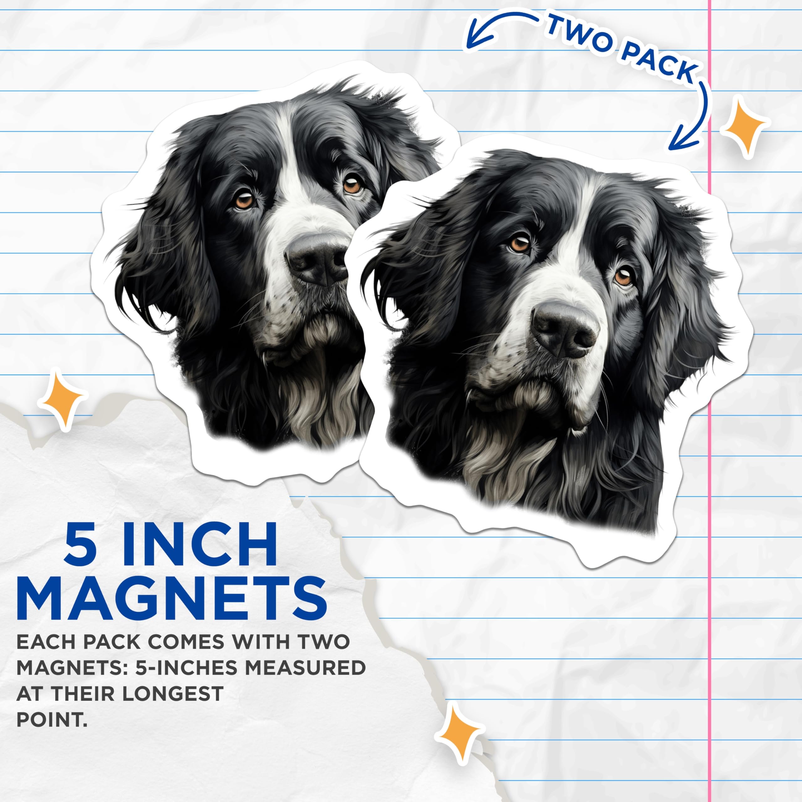 (2 Pack) Bernese Mountain Dog Magnets - Dog Lover Decor - Pet Owner Accessory - 5 Inches On Longest Side - Thick Durable Magnet - Made in USA - MAG30481