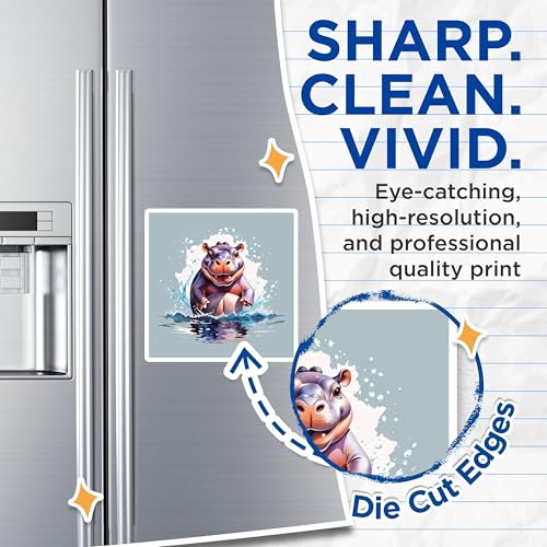 (2 Pack) Hippo Splash Magnets Magnets - Cute Animal - Refrigerator Decor - 5" On Longest Side - Made in USA - Sticks to Refrigerators & Metal Surfaces - MAG8701