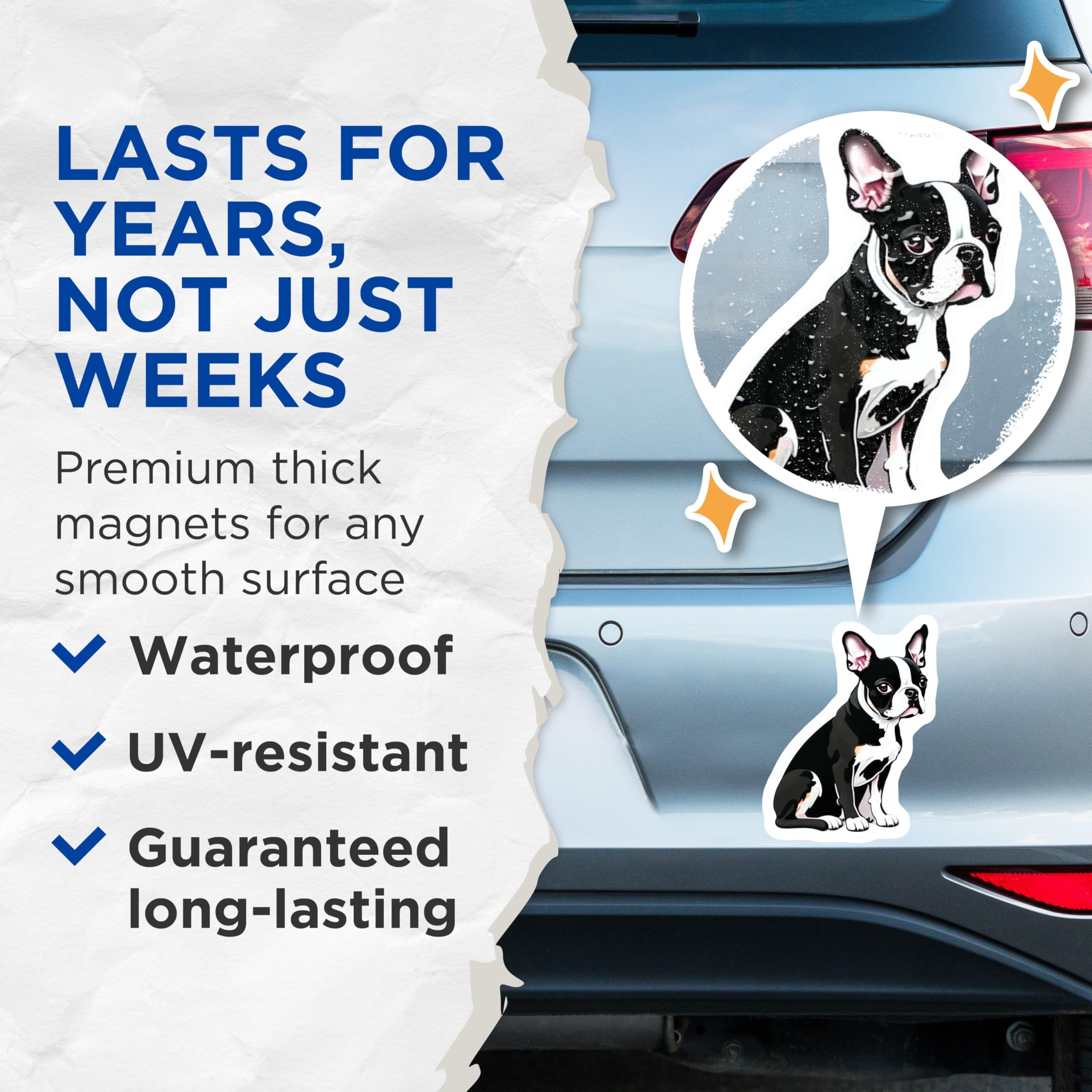 (2 Pack) Boston Terrier Dog Magnets - Adorable Puppy Refrigerator Decor - Pet Lover Animal Art - Boston Terrier Mom Dad Item - 5 Inches On Longest Side - Thick Durable Magnet - Made in USA - MAG23082