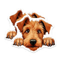 (2 Pack) Animal Lover Decor Magnet - 5" On Longest Side - Sticks to Smooth Flat Surfaces - Made in USA - MAG10201