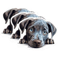 (3 Pack) Blue Eyed Puppy Decals - Cute Dog Decal - Laptop Decal - 3 Inches On Longest Side - Easy Peel & Apply - Made in USA - 3MCS8639