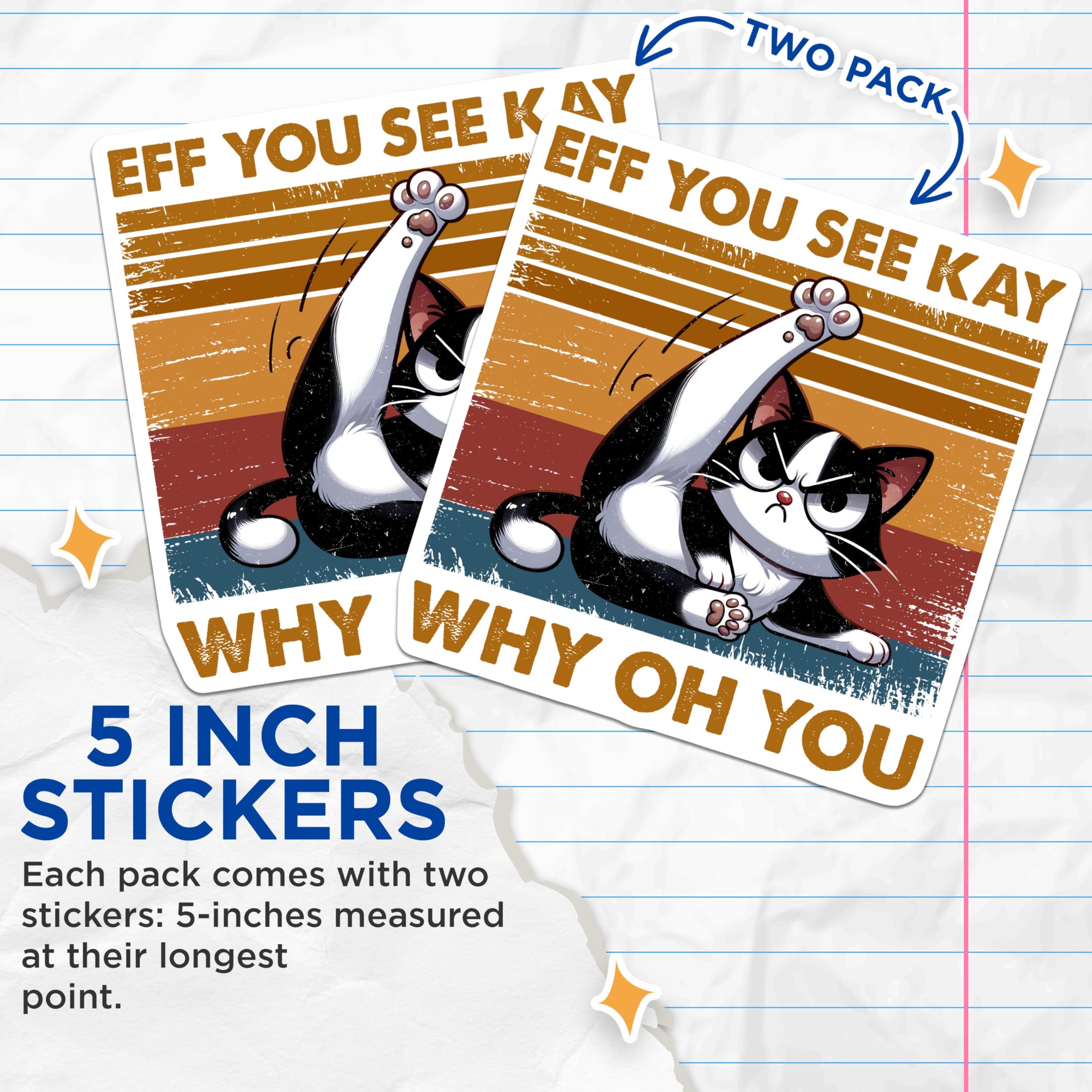 (2 Pack) Funny Cat Stickers - Eff You See Kay - Retro Aesthetic - Sassy Cat Humor - Cute Animal - 5" On Longest Side - Sticks to Smooth Flat Surfaces - Made in USA - BMCS5653