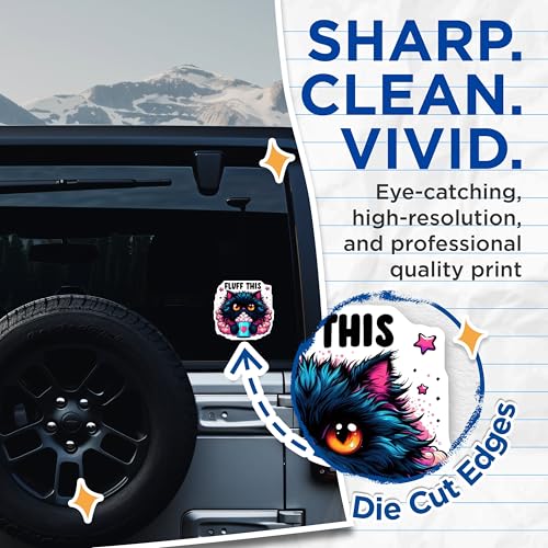 (2 Pack) Fluff This Cat Stickers - Cute Cat Art - Funny Cat Quote Stickers - 5" On Longest Side - Sticks to Smooth Flat Surfaces - Made in USA - BMCS4591