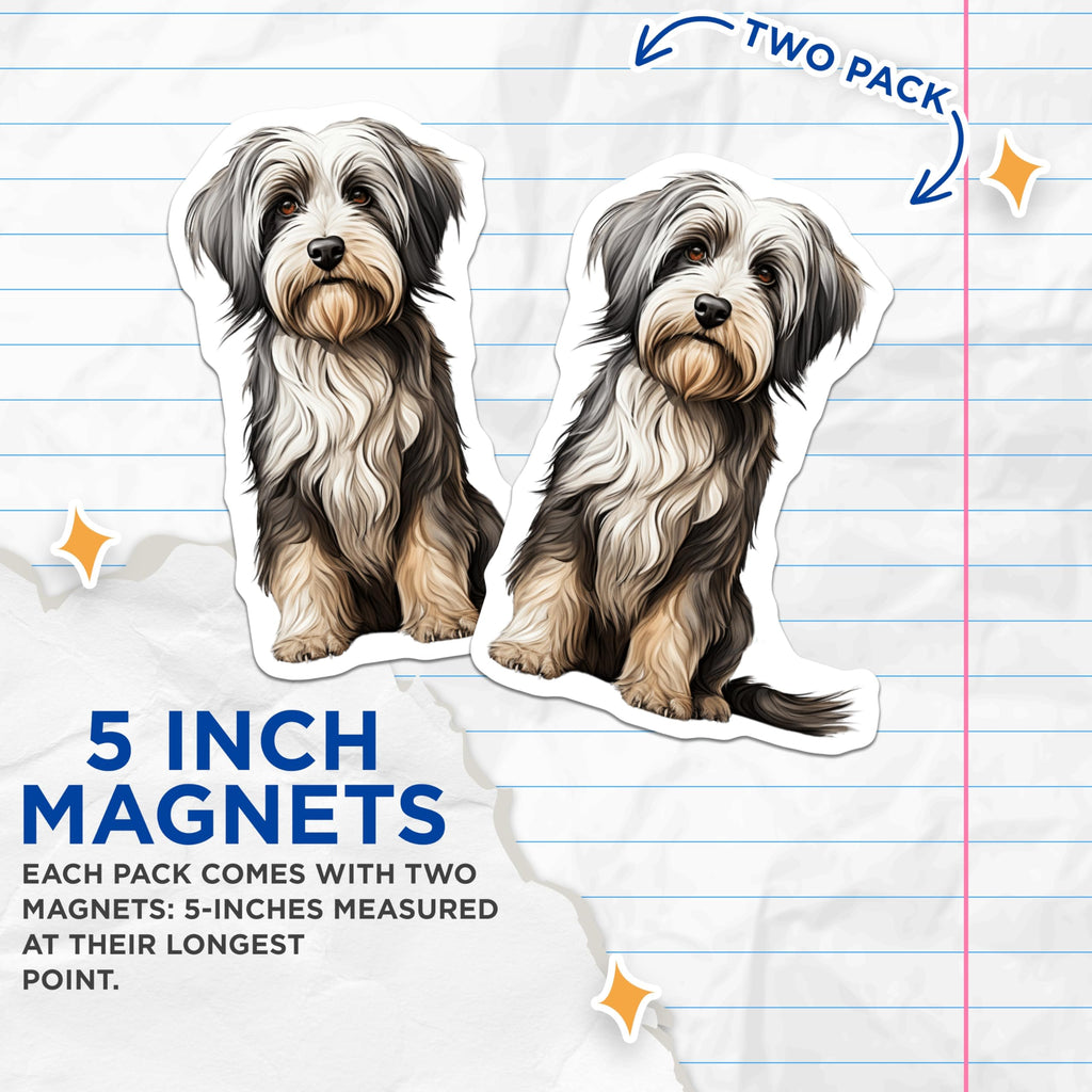 (2 Pack) Fluffy Dog Magnets - Havanese Puppy Pet Owner - Cute Animal Fridge Decor for Dog Moms - 5 Inches On Longest Side - Thick Durable Magnet - Made in USA - MAG25920