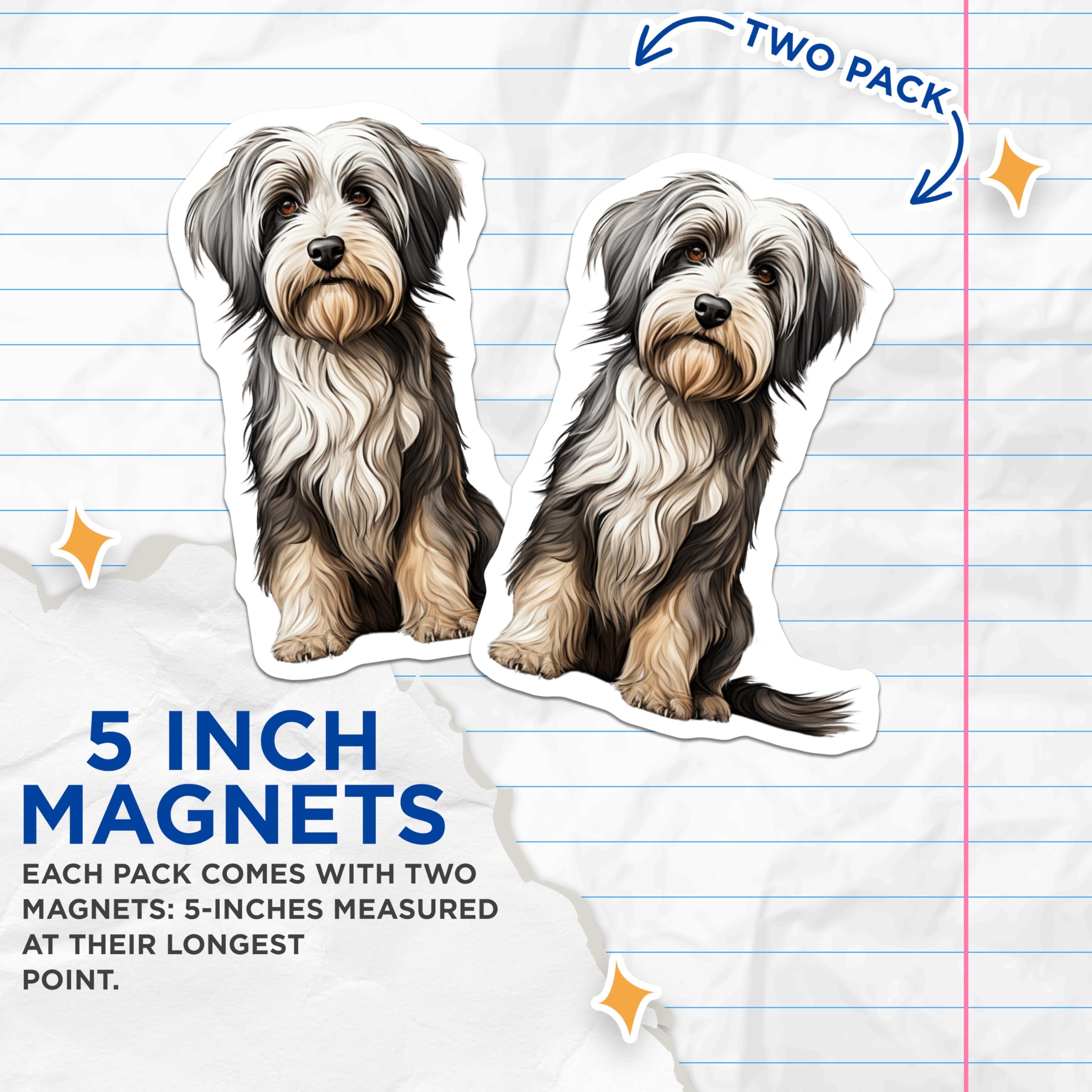 (2 Pack) Fluffy Dog Magnets - Havanese Puppy Pet Owner - Cute Animal Fridge Decor for Dog Moms - 5 Inches On Longest Side - Thick Durable Magnet - Made in USA - MAG25920