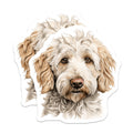 (2 Pack) Goldendoodle Dog Magnets - Pet Lover Refrigerator Decor - Curly Haired Canine Art - Adorable Pooch Illustration - 5 Inches On Longest Side - Thick Durable Magnet - Made in USA - MAG24023
