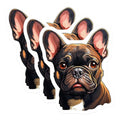 (3 Pack) French Bulldog Decals - Brindle Dog - Laptop Decal - 3 Inches On Longest Side - Easy Peel & Apply - Made in USA - 3MCS2722