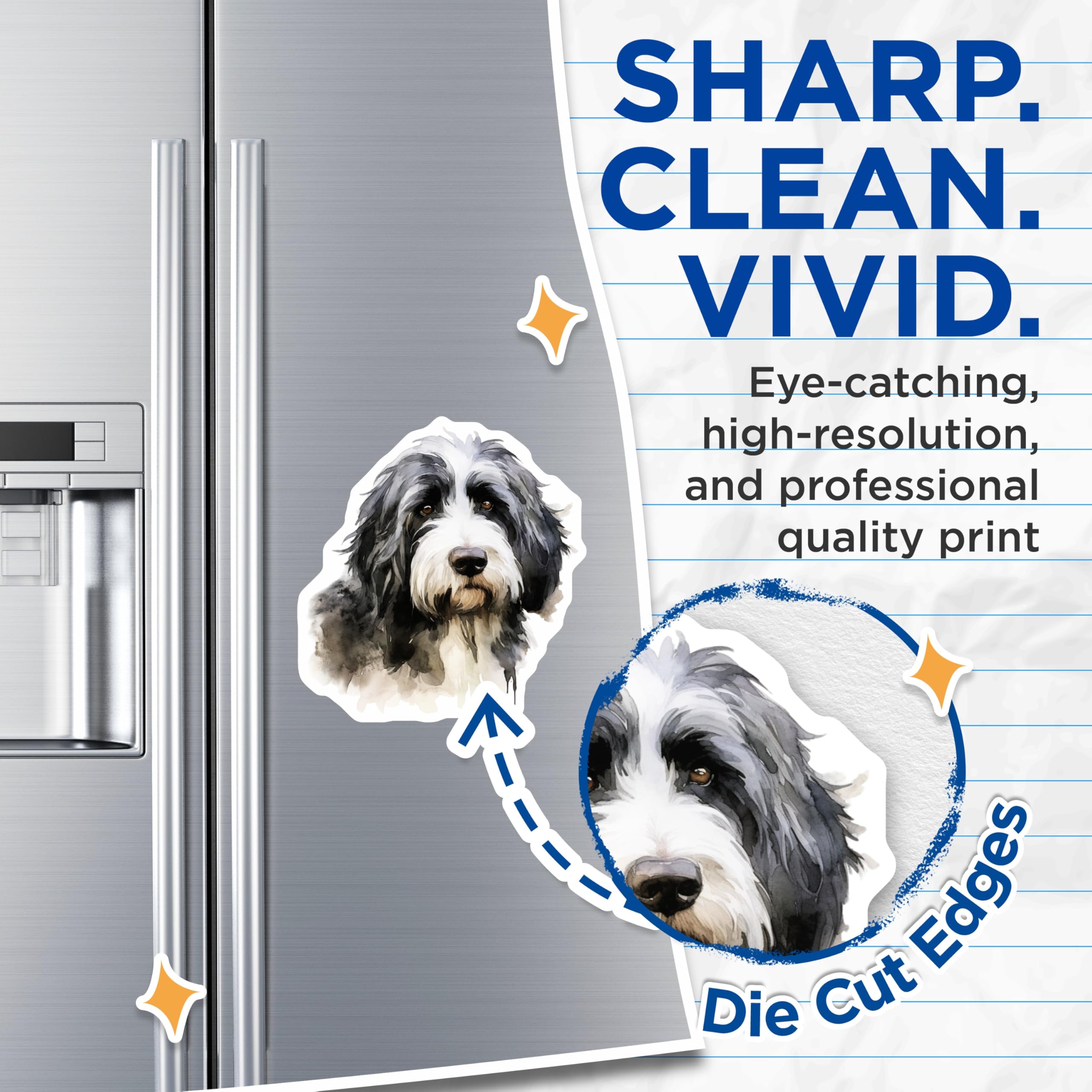 (2 Pack) Bearded Collie Dog Magnets - Detailed Watercolor Canine Portrait Art - Unique Pet Lover Home Refrigerator Magnets - 5 Inches On Longest Side - Thick Durable Magnet - Made in USA - MAG24221